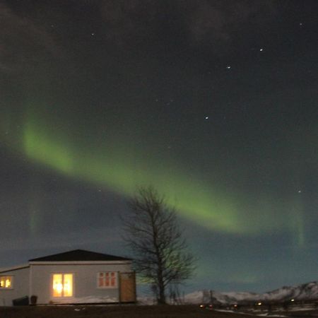 Villa Gamla Husith - The Old House Selfoss Esterno foto