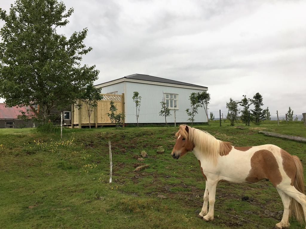 Villa Gamla Husith - The Old House Selfoss Esterno foto