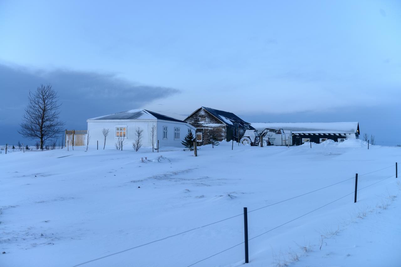 Villa Gamla Husith - The Old House Selfoss Esterno foto